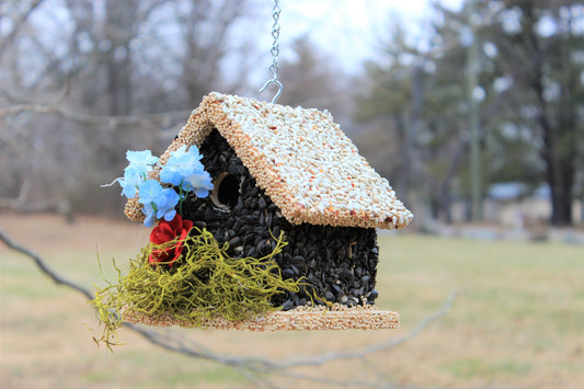 Edible Birdhouses vs. Traditional Bird Feeders: Which Is Better?