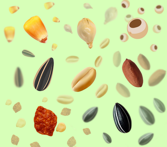 Best Seeds and Ingredients for an Edible Birdhouse: What Birds Love the Most