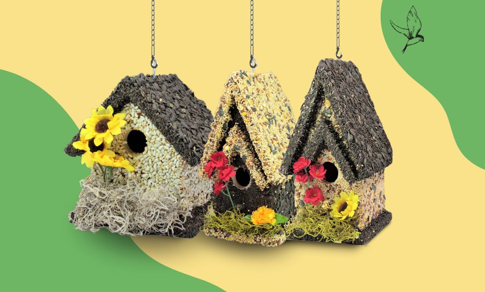 edible bird house bird feeder for your backyard birds