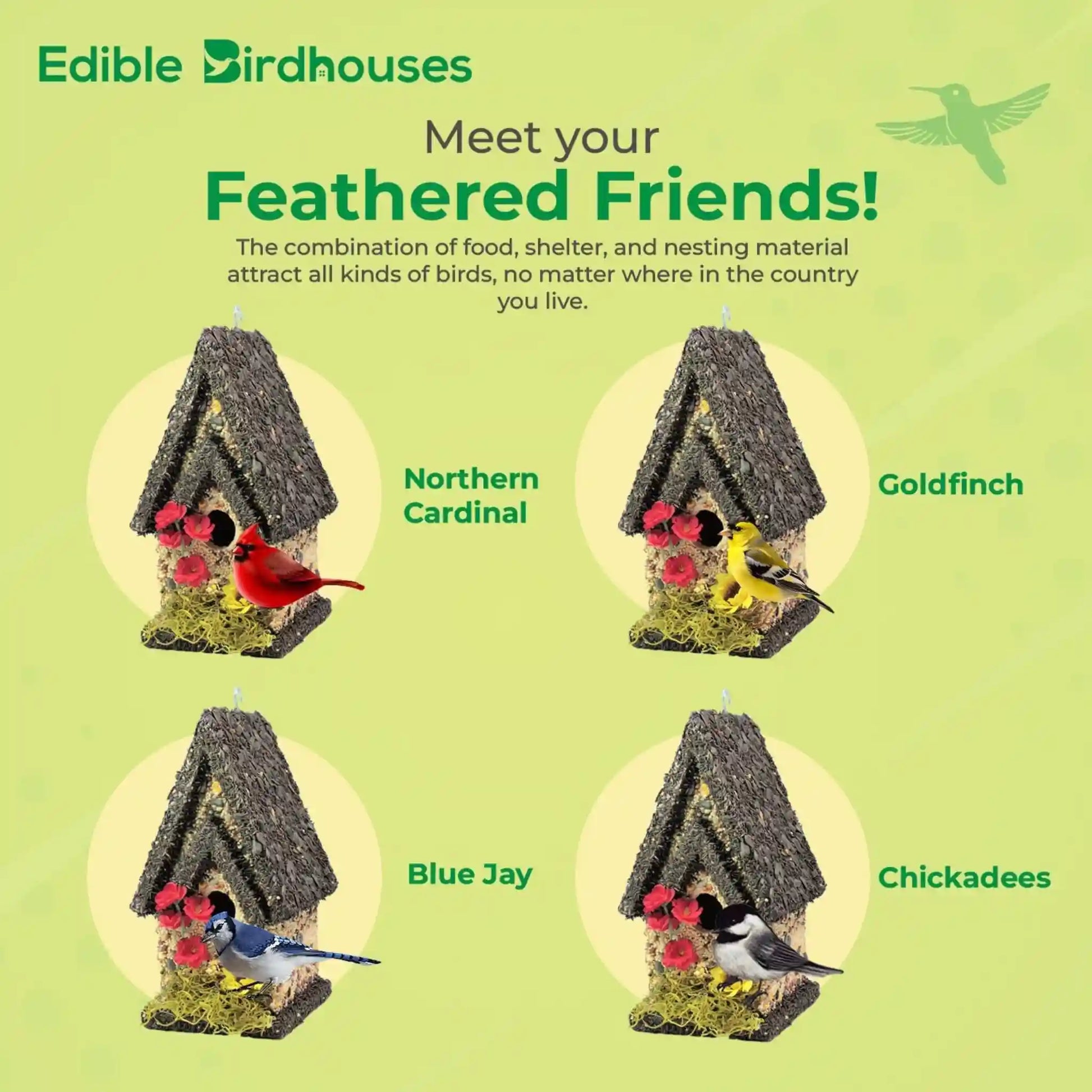 Edible birdhouse made of birdseed with sunflower accents, perfect for attracting birds like finches and chickadees