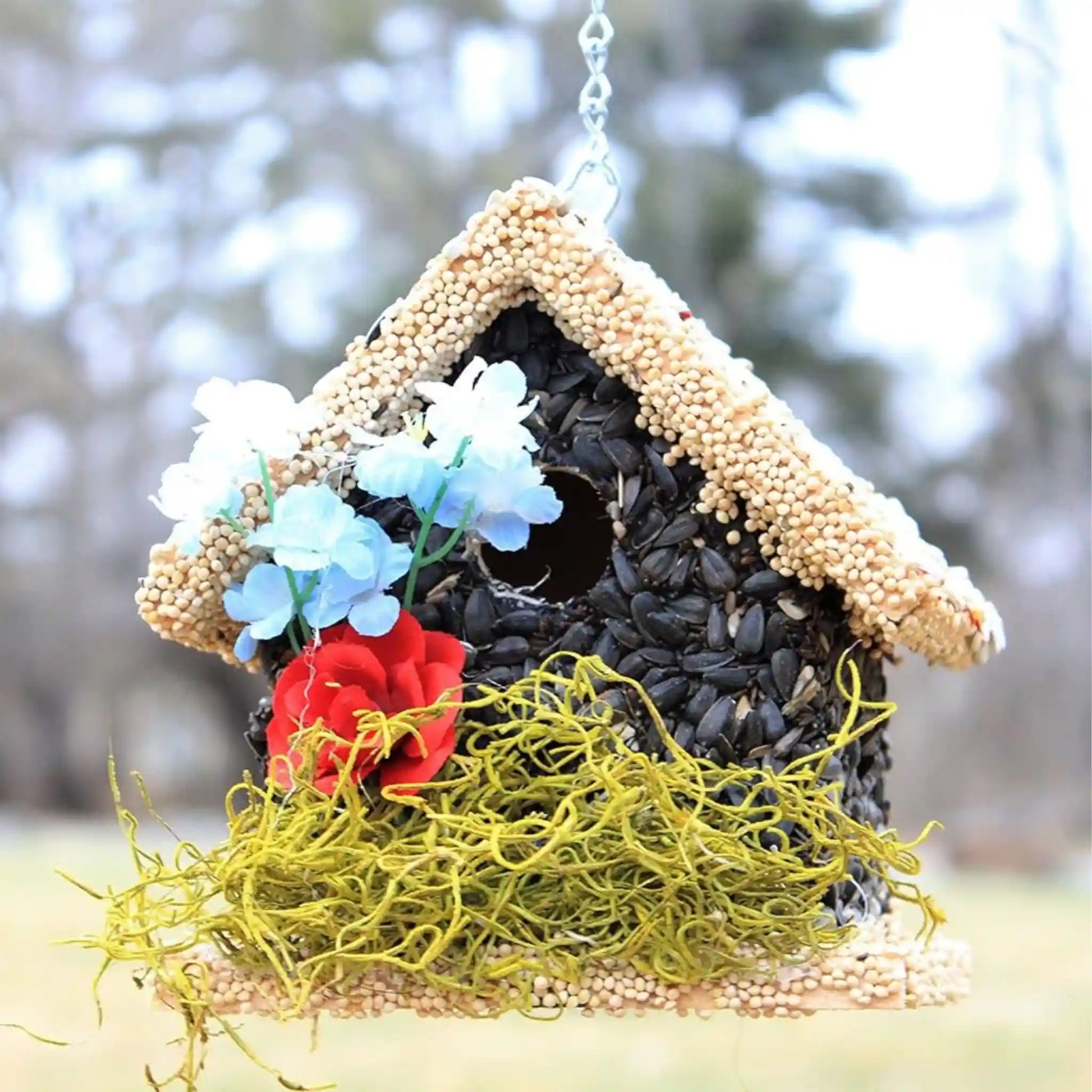 edible birdhouse covered in bird seed