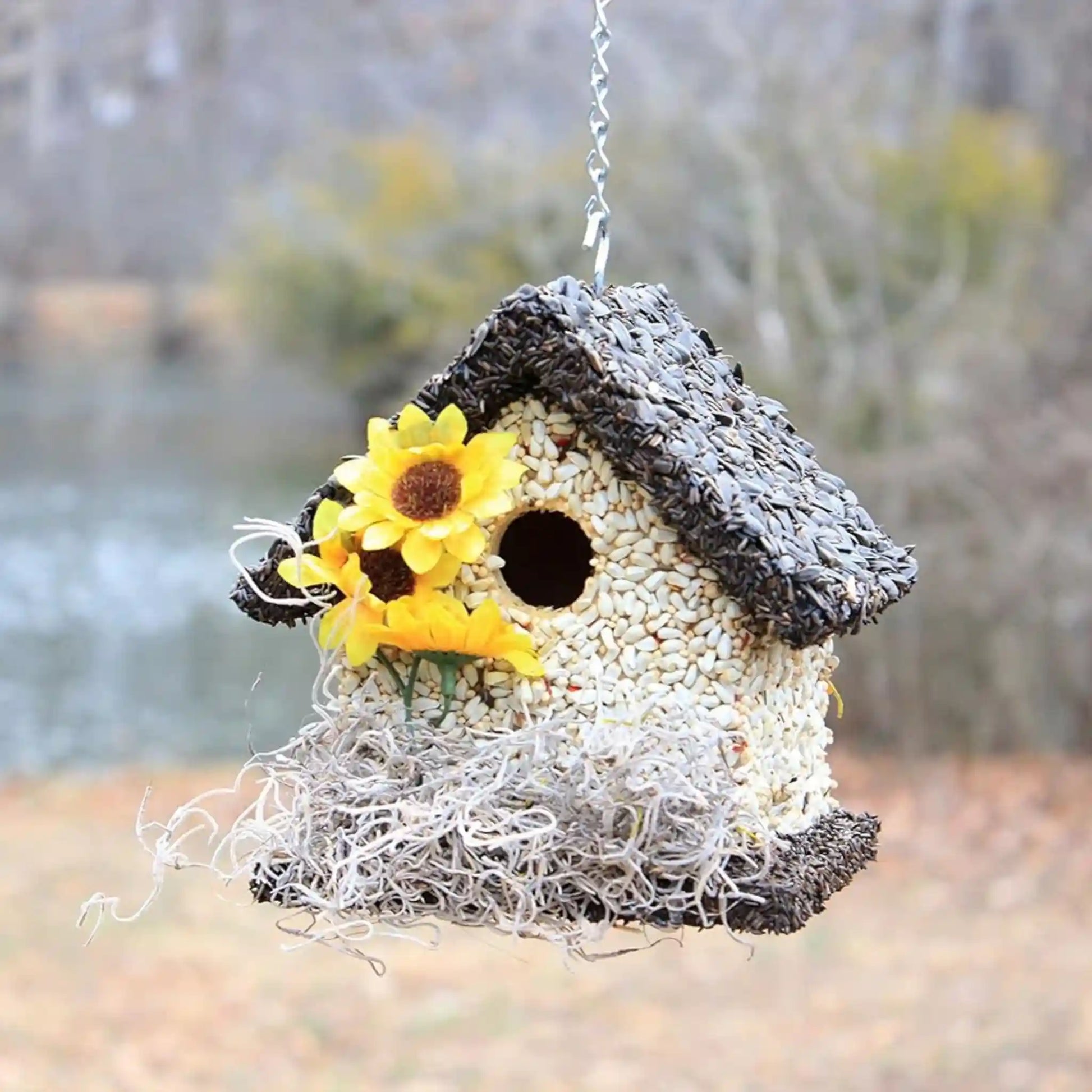 edible birdhouse covered in bird seed