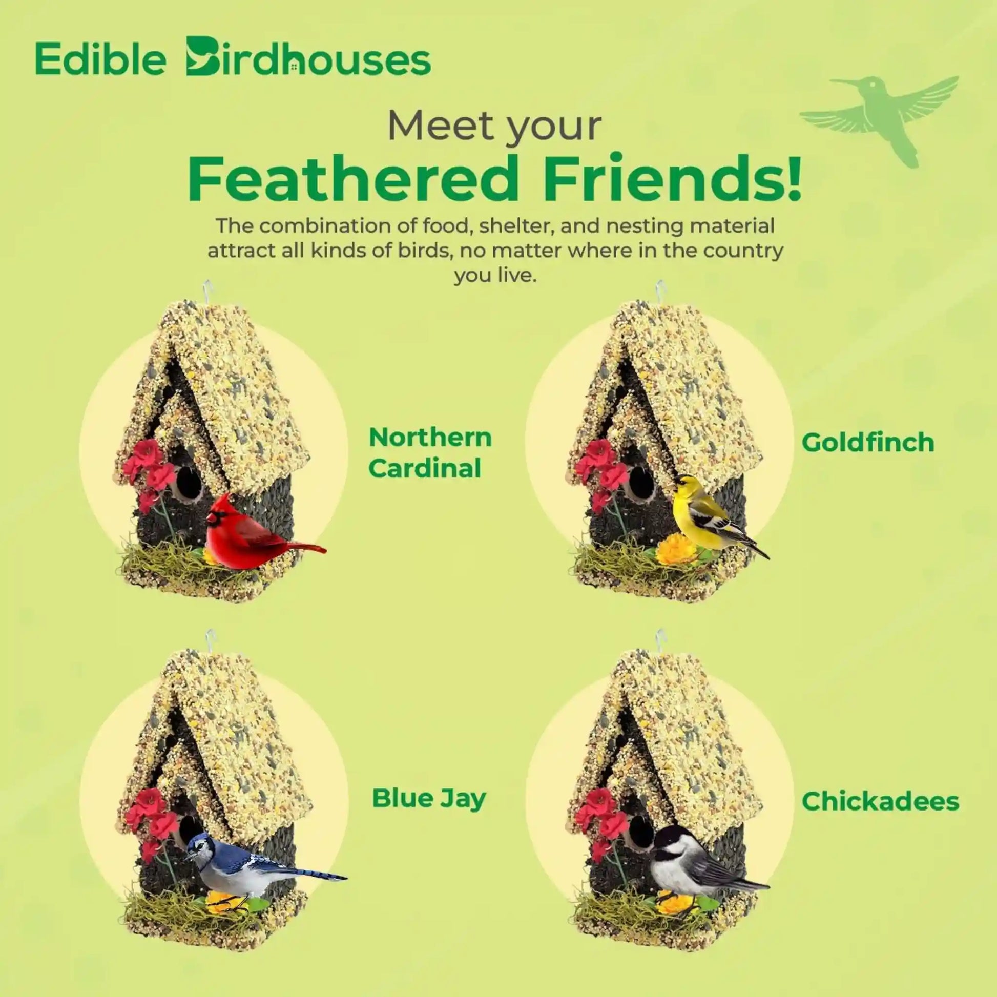 Edible birdhouse made of birdseed with sunflower accents, perfect for attracting birds like finches and chickadees