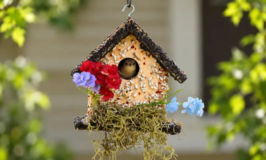How Edible Birdhouses Feed and Shelter Birds Naturally