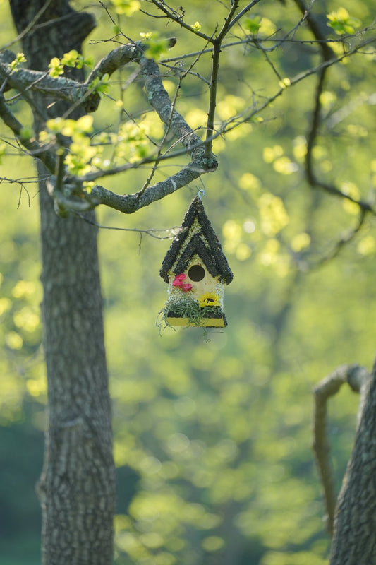seed-coated birdhouse