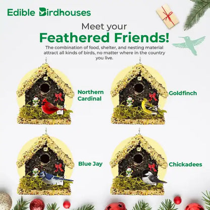 Christmas Edible Birdhouse - Light Roof, Short Birdhouse Covered in Bird Seeds