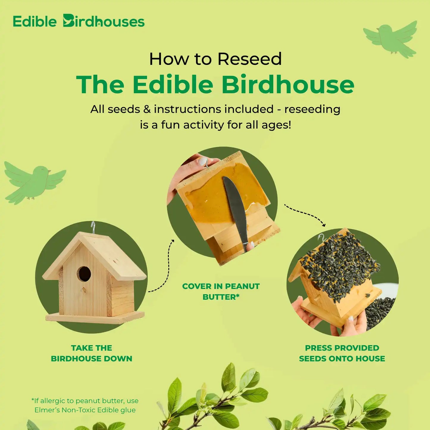 Edible Birdhouses Re-Seeding Kit – Premium Wild Bird Seed Mix