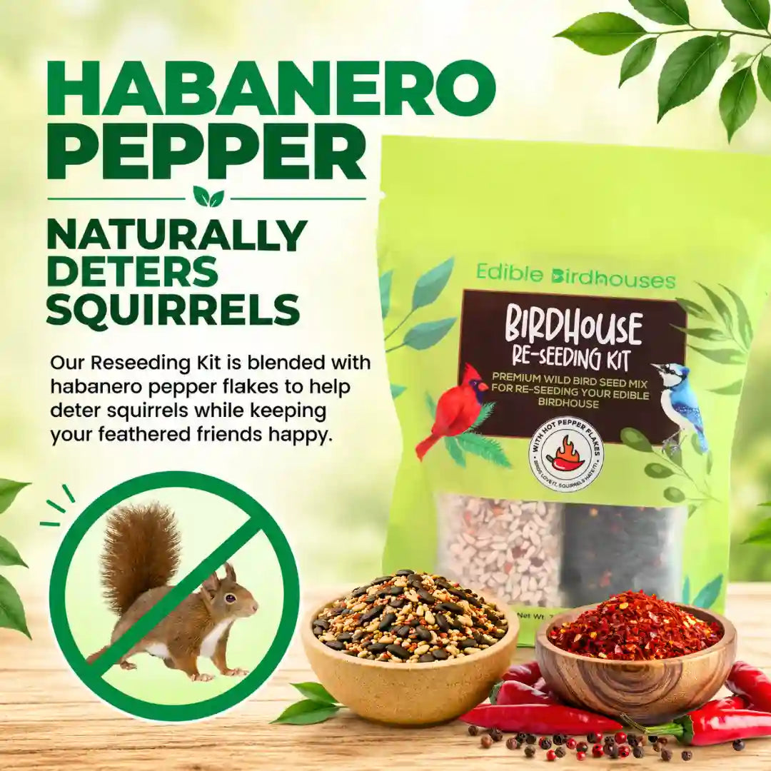 Edible Birdhouses Re-Seeding Kit – Premium Wild Bird Seed Mix