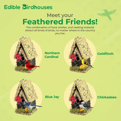 Edible birdhouse made of birdseed with sunflower accents, perfect for attracting birds like finches and chickadees