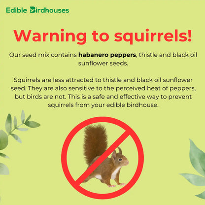 Edible Birdhouses Re-Seeding Kit – Premium Wild Bird Seed Mix