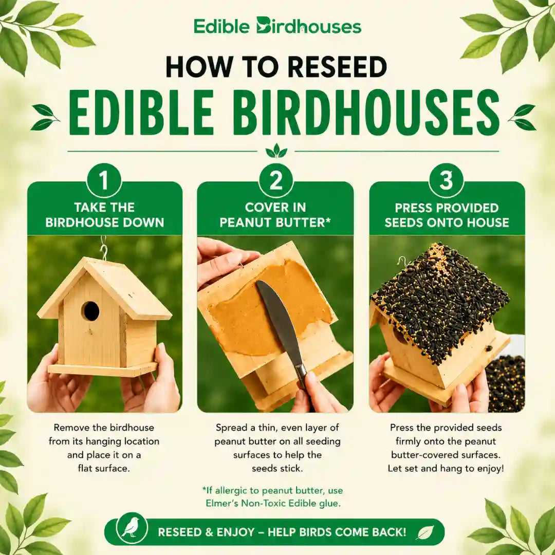 Edible Birdhouses Re-Seeding Kit – Premium Wild Bird Seed Mix