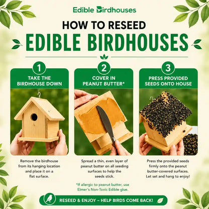 Edible Birdhouses Re-Seeding Kit – Premium Wild Bird Seed Mix