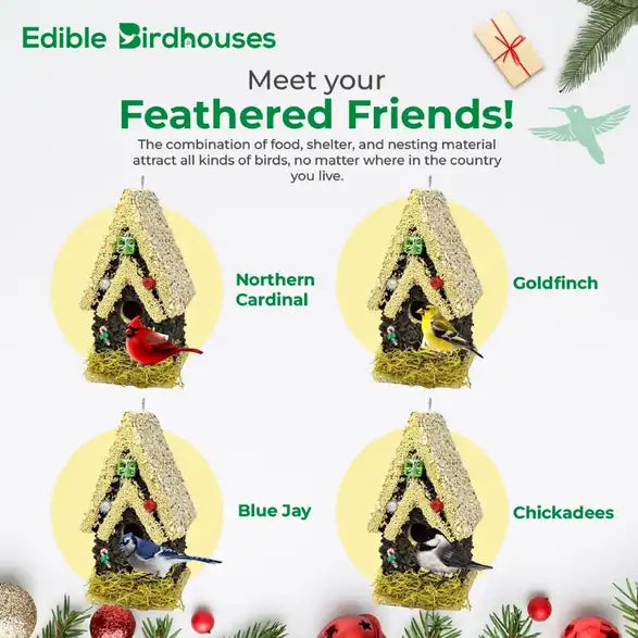 Christmas Edible Birdhouse - Light Roof, Tall Birdhouse Covered in Bird Seeds