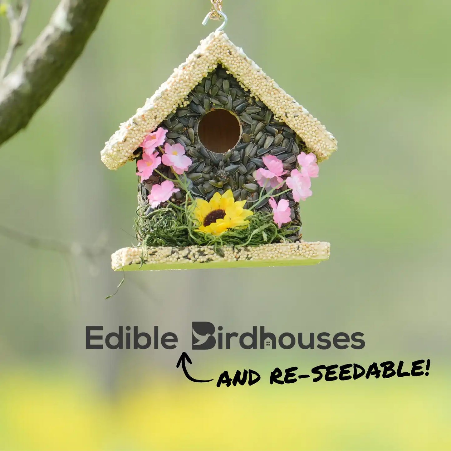 Edible Birdhouses Re-Seeding Kit – Premium Wild Bird Seed Mix
