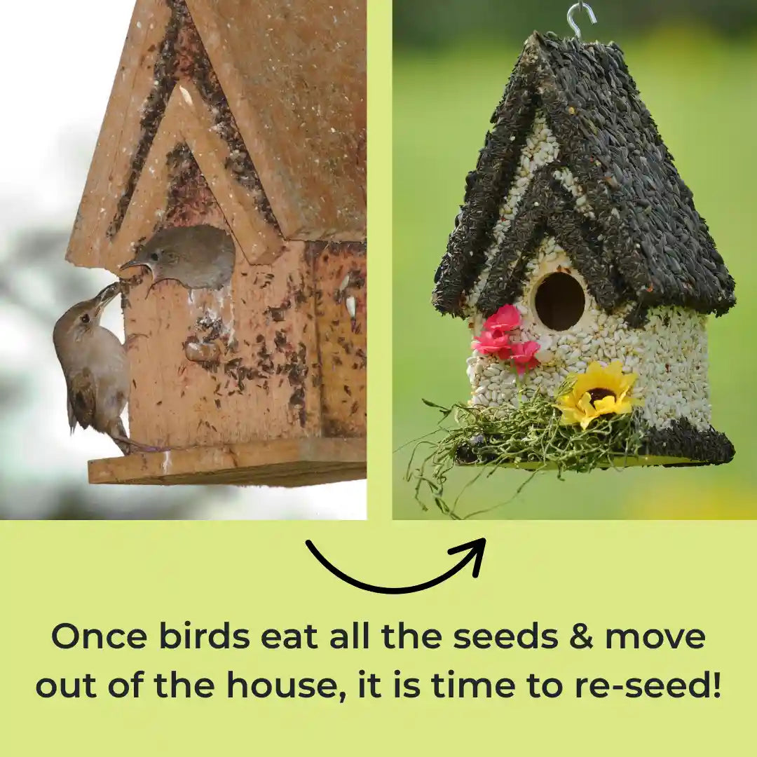 Father's Day Gift Bundle For Bird Lovers